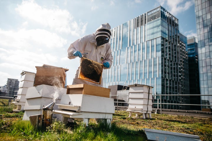 All Mixed Up Together Like Bees in a Hive