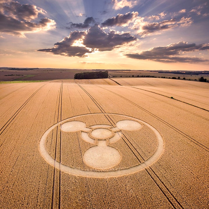 Chemical Corn Circle